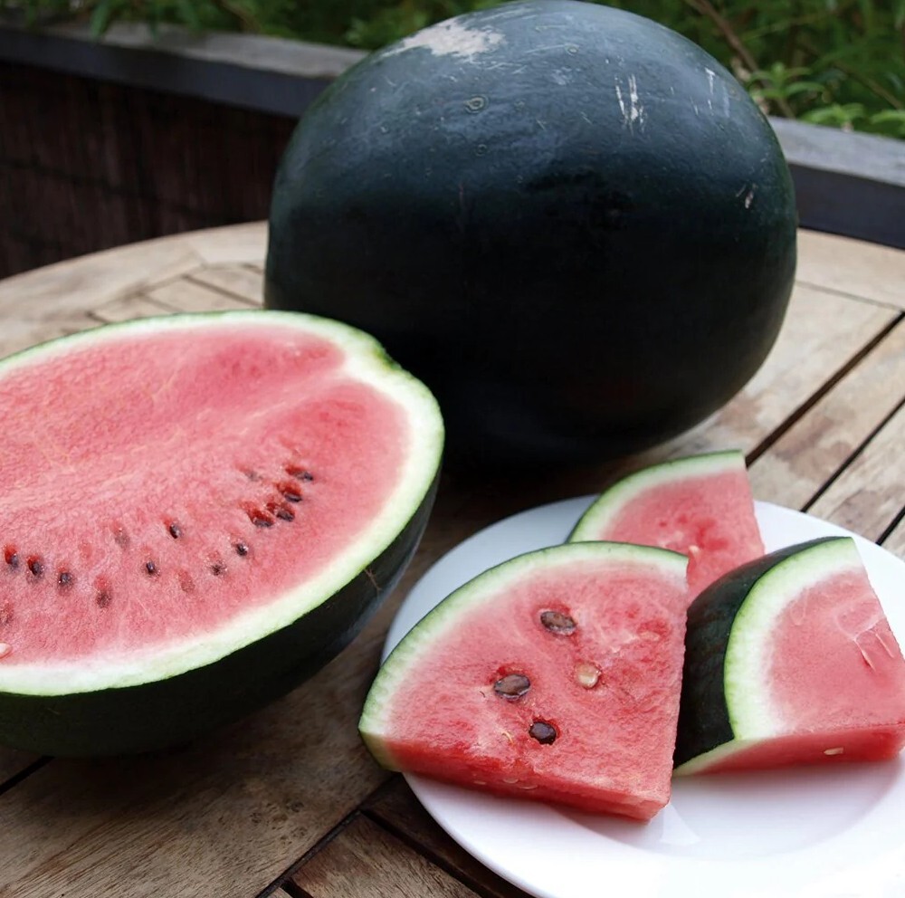 Seeds (40 or 80) Organic Heirloom Sugar Baby Small Watermelon Citrullus lanatus