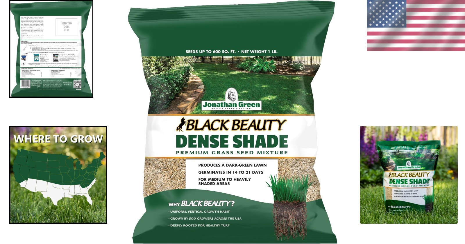 Black Beauty Grass Seed – Ideal for Shaded Areas, Germinates in 14-21 Days