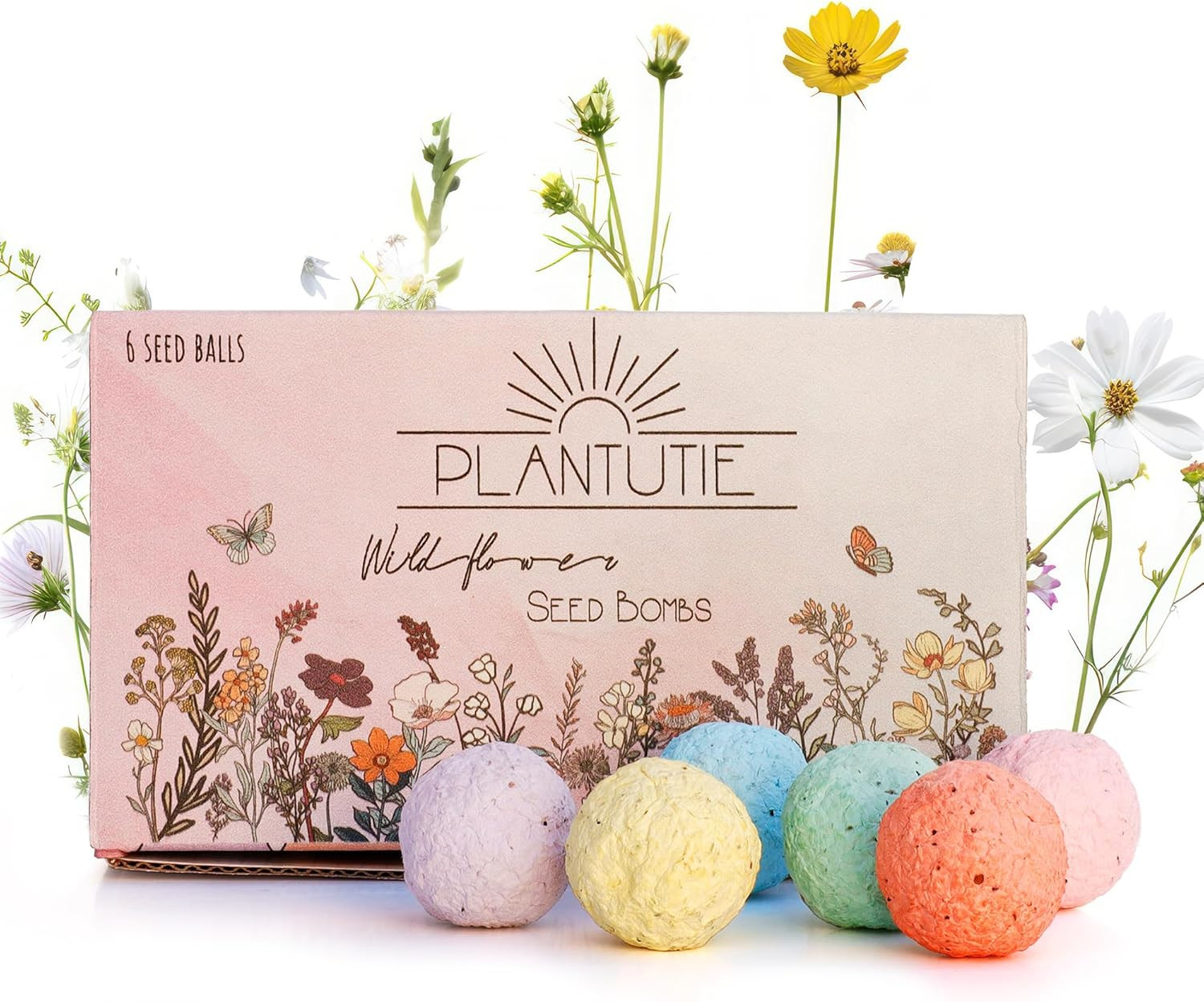 Wildflower Seed Bomb Gift Box – 6 Colorful Hand Rolled Seed Balls for Easy Garde