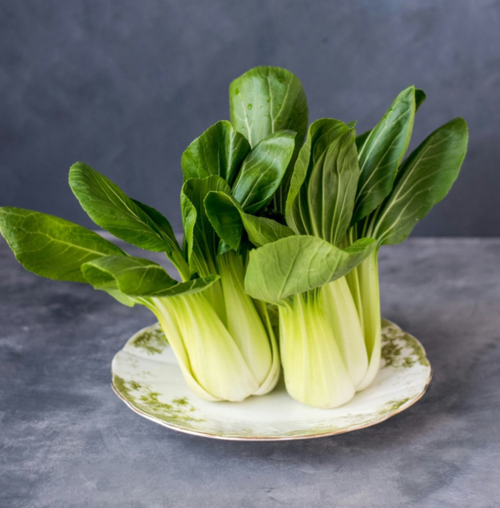 BOK CHOY SEEDS Shanghai Green | Baby Bok Choy | Tender, Asian Garden Vegetable