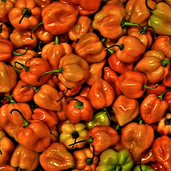 300,000 Heirloom Seeds, Preppers, Survivalist Cache 50 Variety with Sprouts