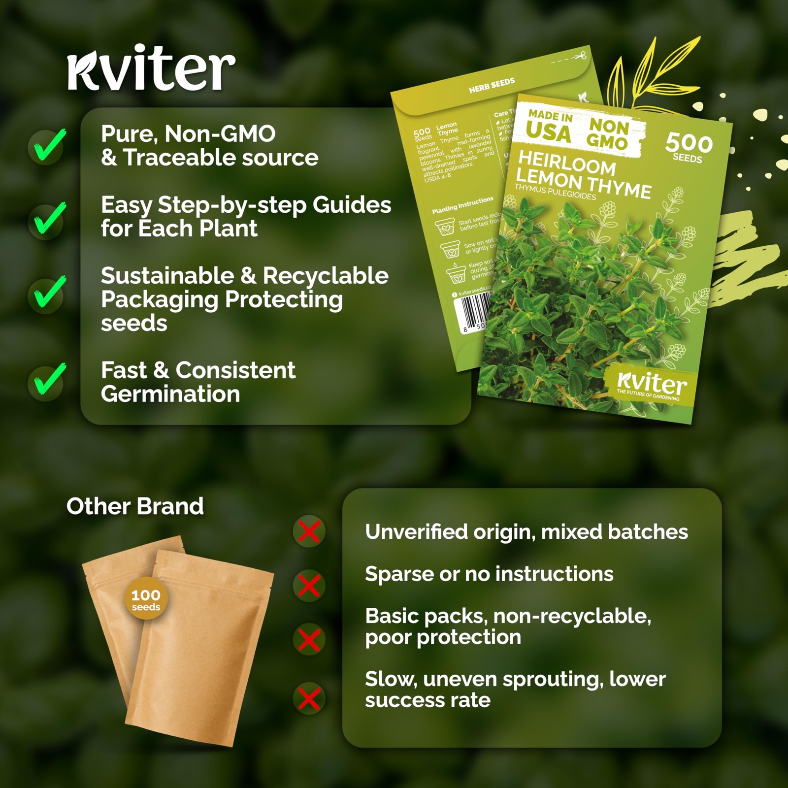 KVITER 500 Lemon Thyme Seeds For Planting (Thymus pulegioides)