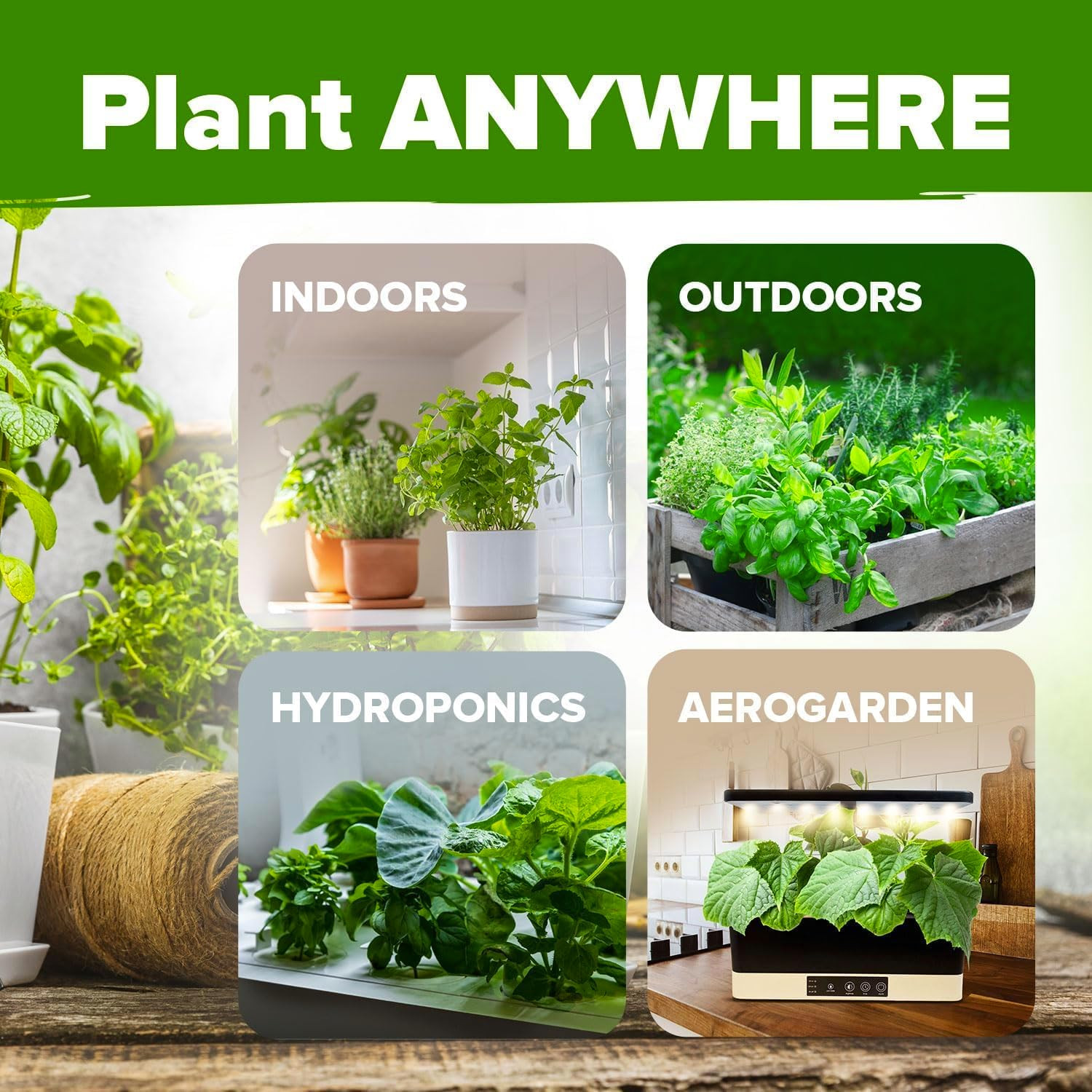 10 Herb Seeds for Planting 3,000+ Non-Gmo Heirloom Seeds | Extra Large Variety P