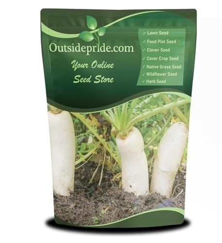 5 lbs Daikon Radish Seeds – Chinese & Japanese Variety for Soil Health, Erosion