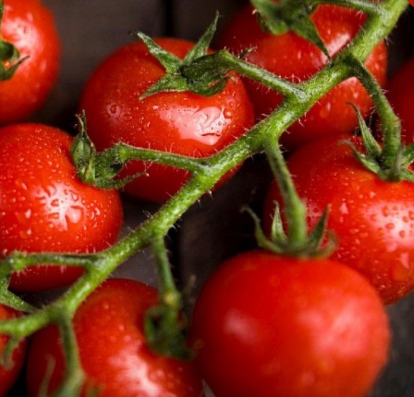 75+ Large Cherry Tomato Seeds **Fresh Seeds** ~~Free Shipping~~