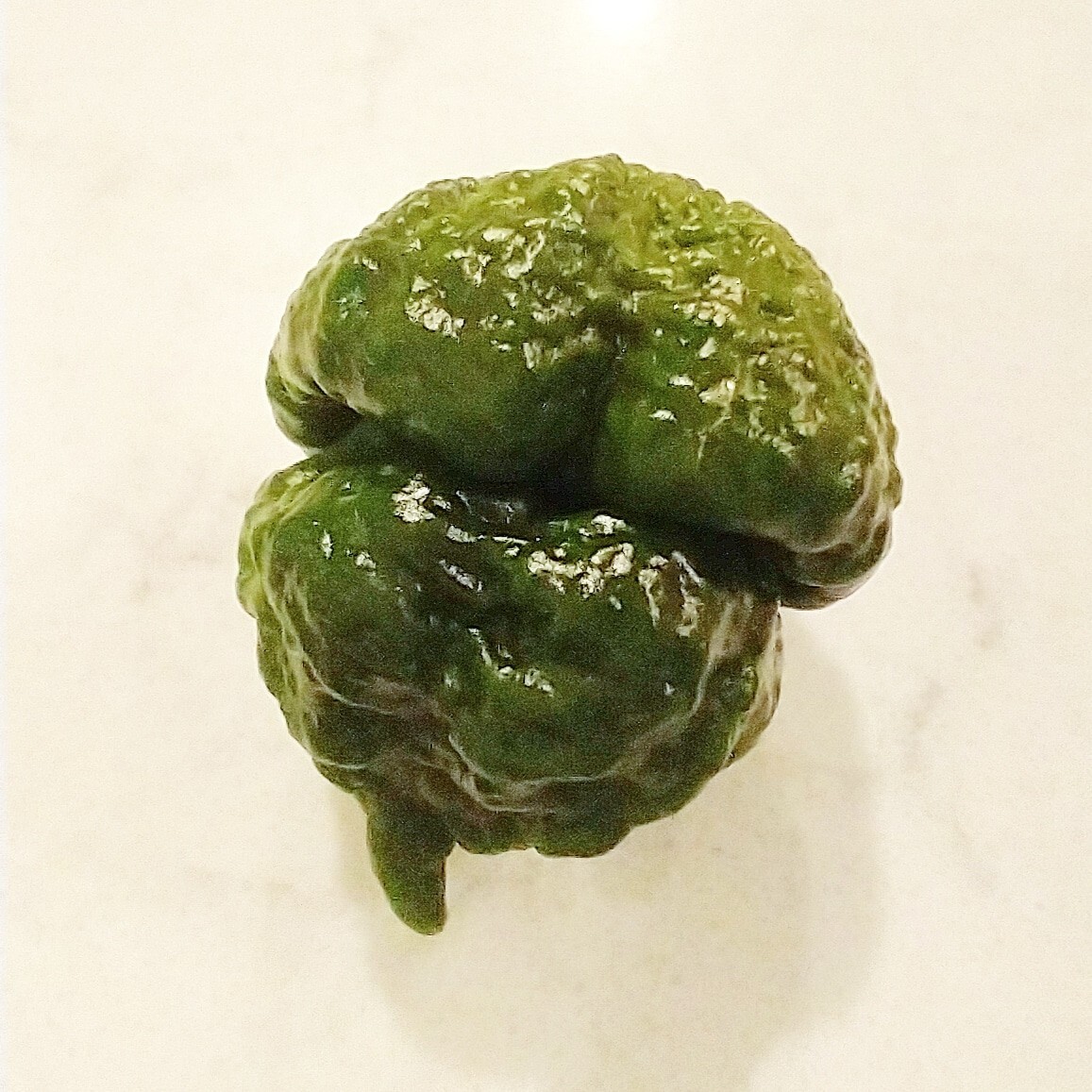 BIG BLOCK Pepper Combo- 4 Superhot Varieties – 20 Seeds Of Each – Great Discount