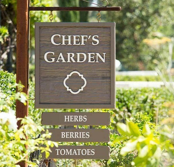 150+ Heirloom Vegetable Seeds 6 Variety Garden Set #5 Emergency Survival NON-GMO