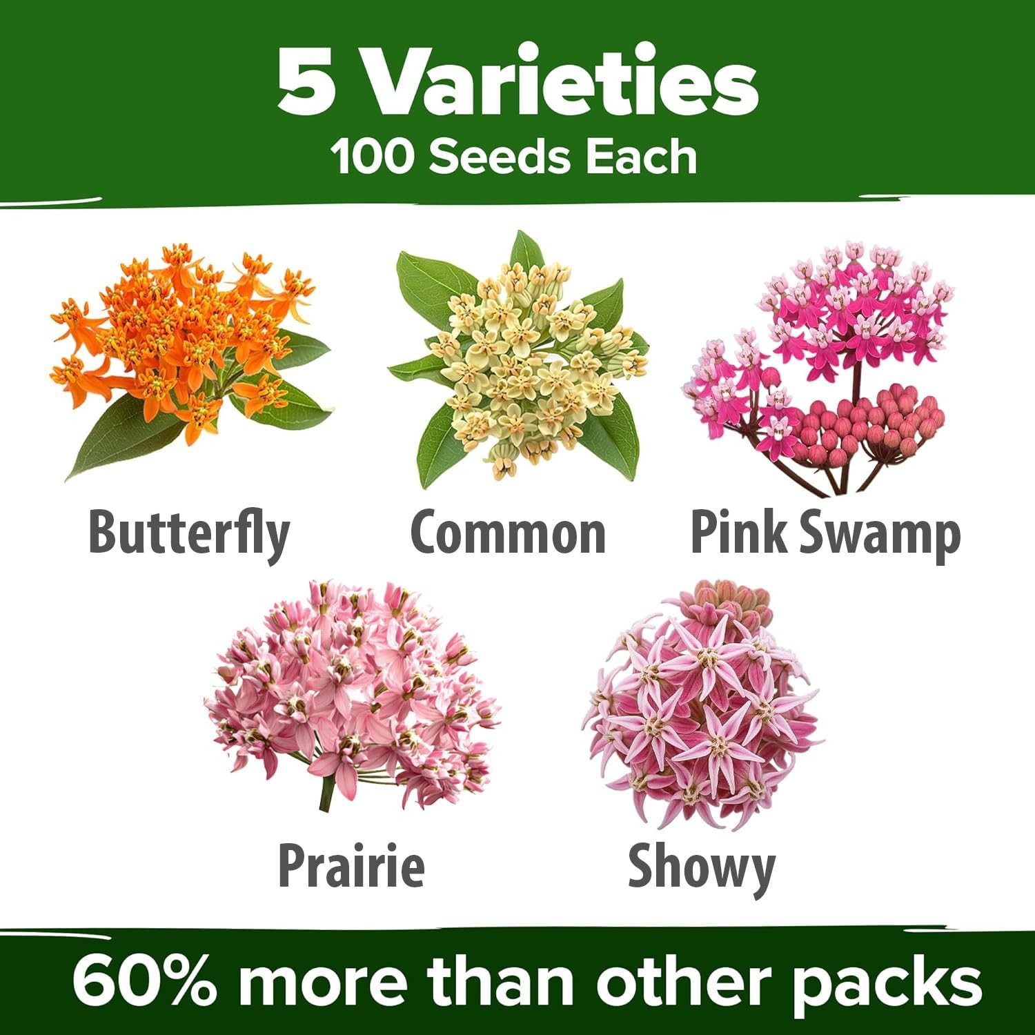 Milkweed Flower Seeds – 500+ Heirloom Perennials for Monarch Habitat, Zones 3-10