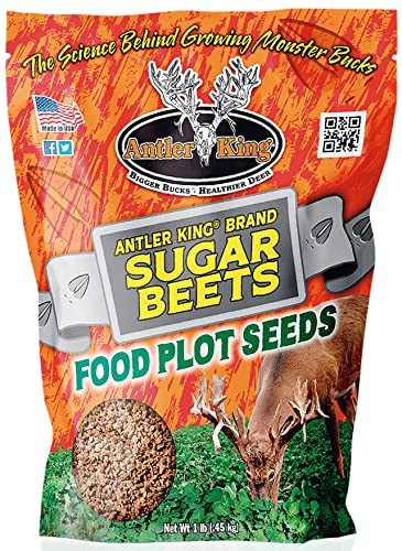 Antler King AKSB1 Sugar Beets Food Plot Seed 1 lb Bag Annual 1/8 Acre