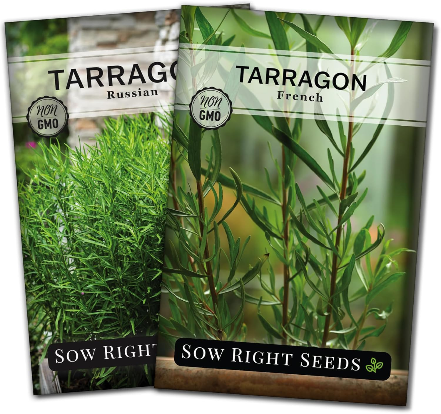– Tarragon Seed Collection for Planting – French and Russian Varieties – Non-Gmo