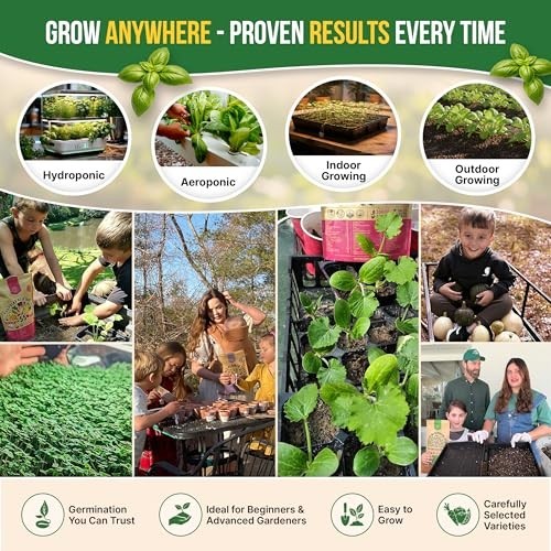 25 Herb Seeds Variety Pack – 11,700 Non-GMO Heirloom Seeds for Hydroponic & Indo