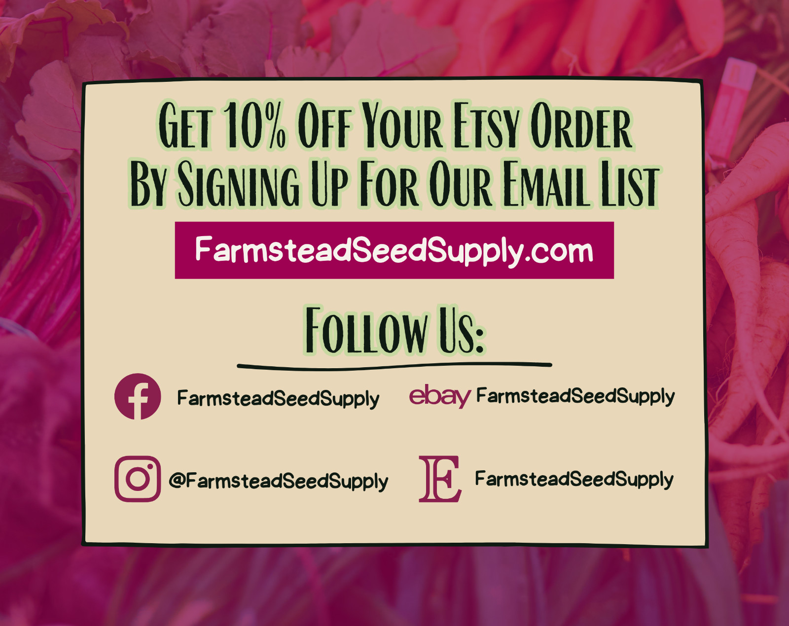 130+ Sweet Corn Seeds [Country Gentleman] Vegetable Gardening, Heirloom, Non-GMO
