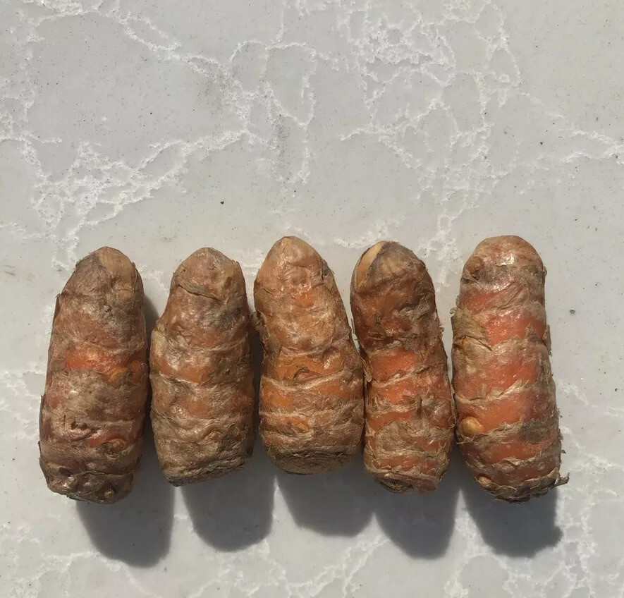 Fresh Turmeric Roots 5 PCs Curcuma Longa Ready To Plant