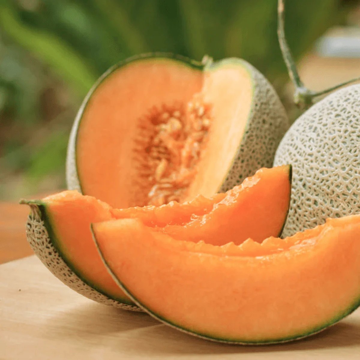 Top Market Melon Seeds, NON-GMO, Muskmelon, Western Shipper Type, FREE SHIPPING