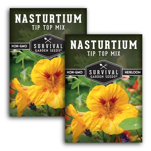 Nasturtium Seeds for Planting Outdoors – Tip Top Mix Heirloom Variety of 2