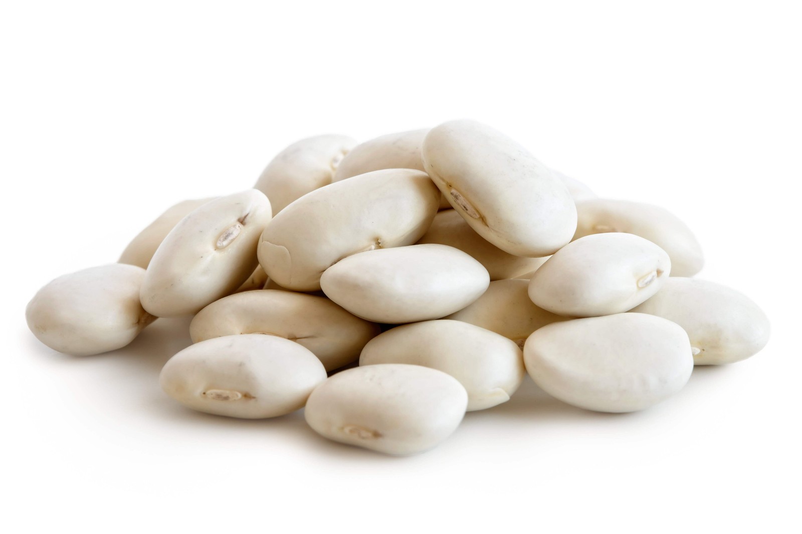 50 WHITE DIXIE LIMA BEAN Butterpea Phaseolus Vulgaris Vegetable Seeds *Comb S/H