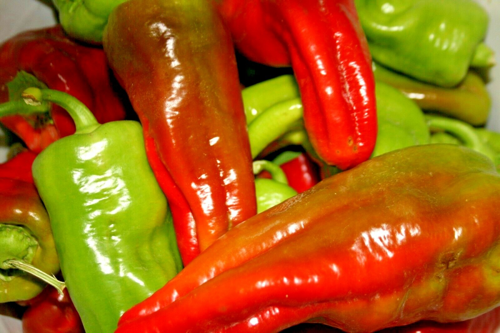 101+HUNGARIAN Sweet Wax PEPPER Seeds Organic Vegetable Garden Container Banana