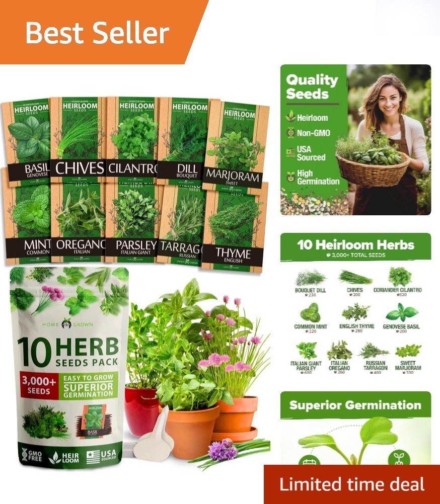 Versatile Indoor & Outdoor Herb Seed Set – 10 Non-GMO Heirloom Varieties
