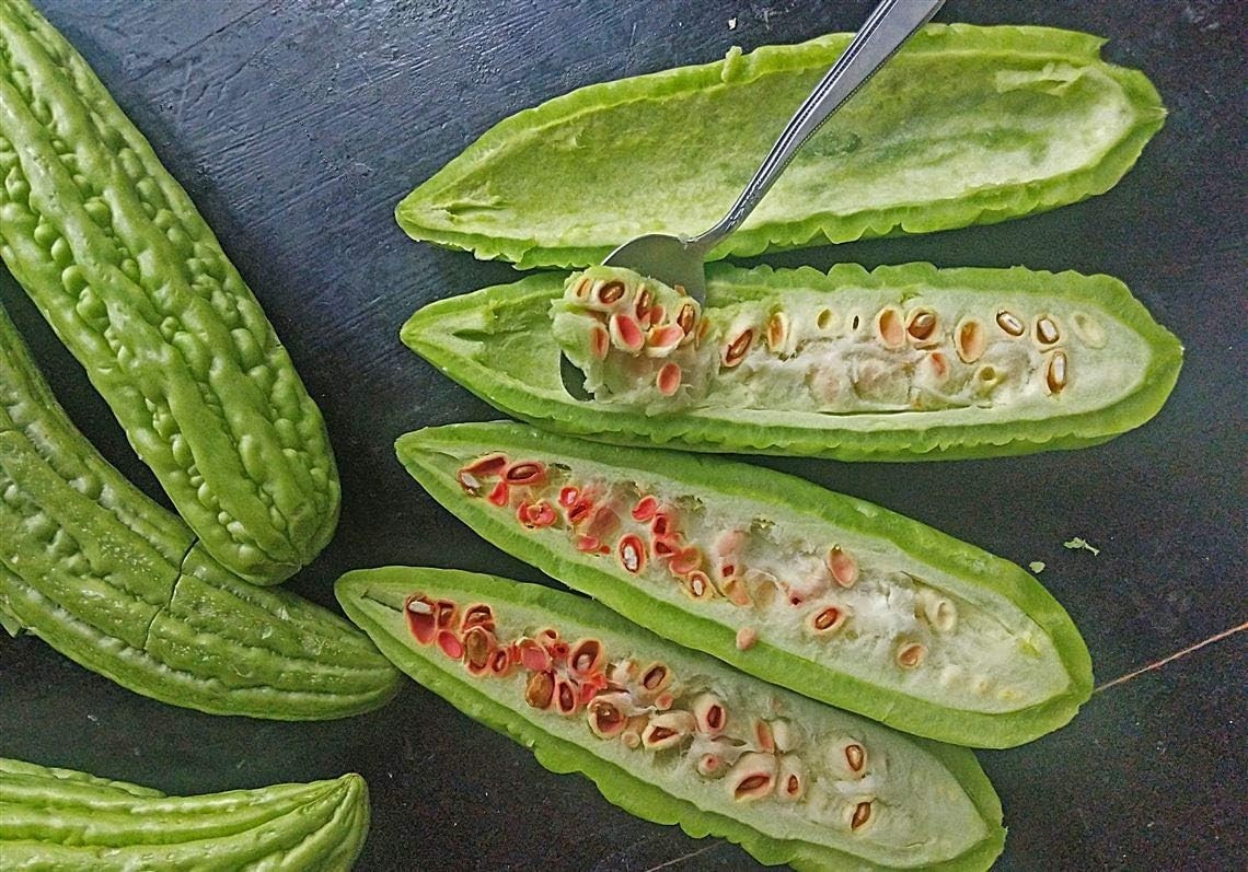 Grow Delicious Bitter Melon – Non-GMO Seeds with 92% Germination Rate, Pack of 1