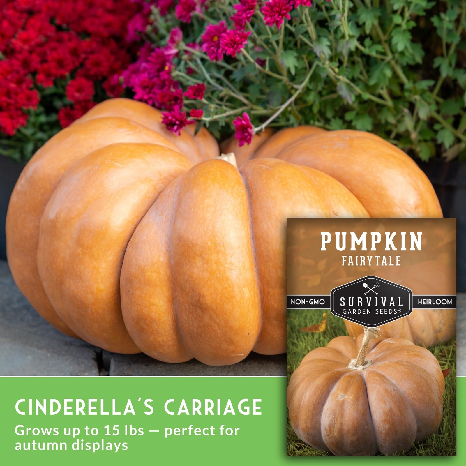 Heirloom Pumpkin Seeds for Planting | Sweet Flavor for Pies, Soups, Décor