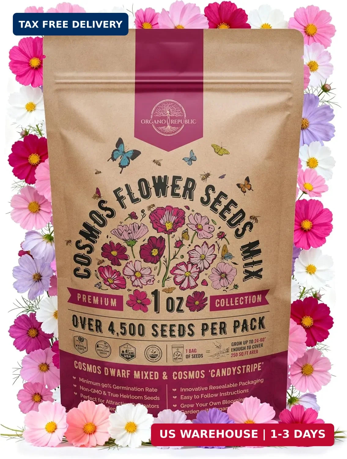 Cosmos Flower Seeds Pack 1 oz – 4,500 Non-GMO Heirloom Annual Seeds for Planting