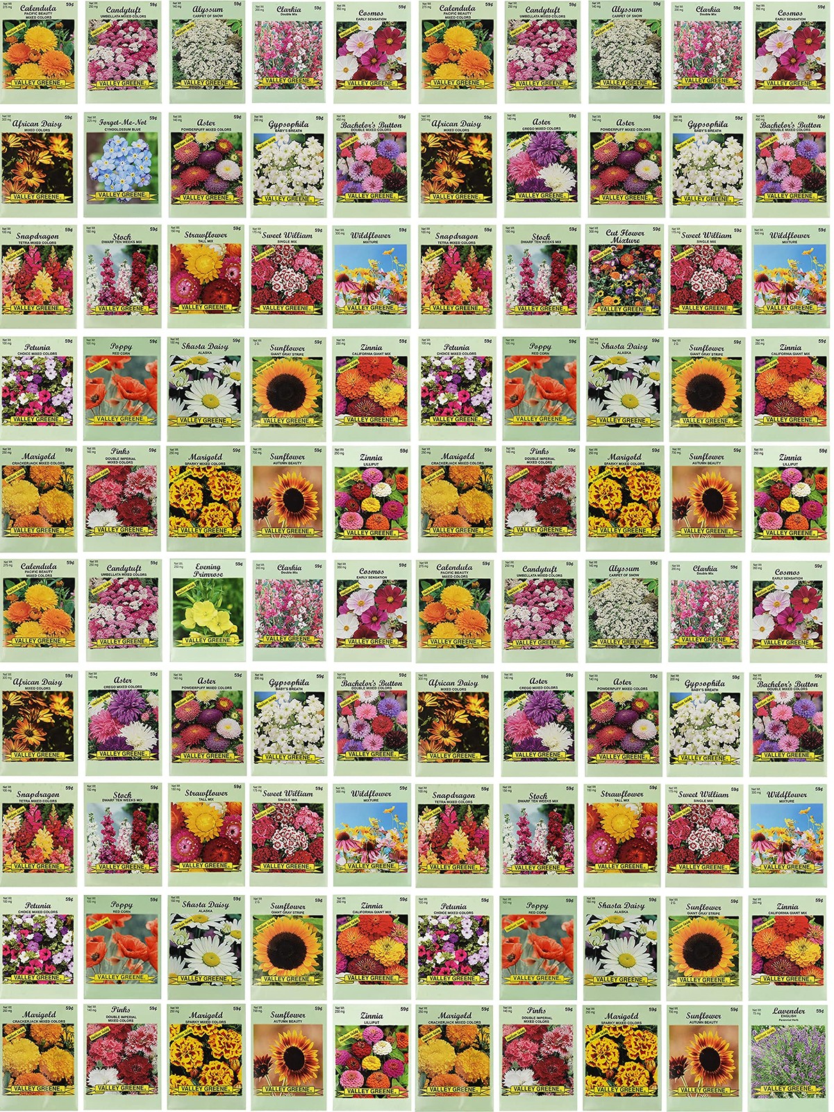 100 Assorted Flower Seed Packets – 20+ Varieties for Your Garden