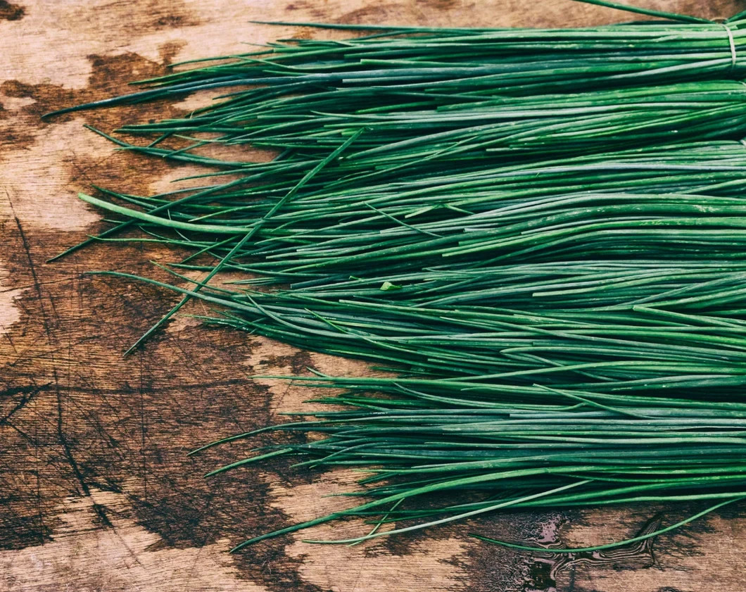 75 Common Chives Seeds Perennial Mild Flavor Free Shipping and Tracking