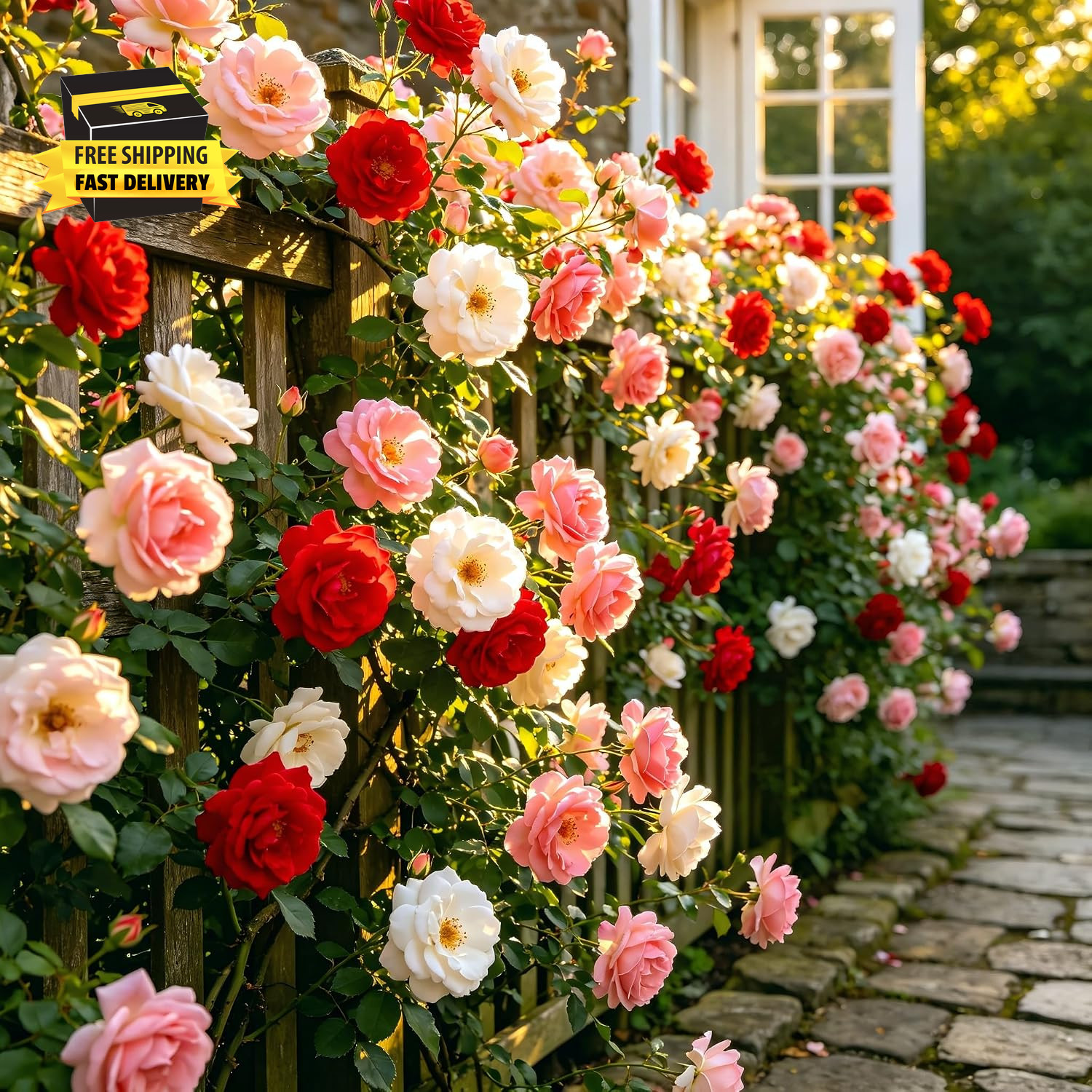 Carpetc 250+ Mixed Climbing Rose Seeds for Planting, Rosa Hybrid Rambling Vine w