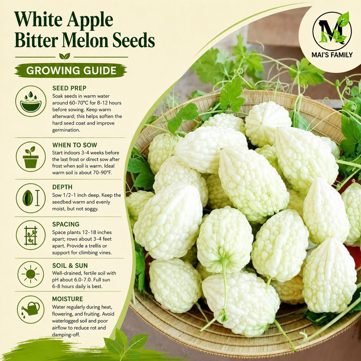 White Apple Bitter Melon Seeds (Momordica charantia) | Heart-Shaped White Karela