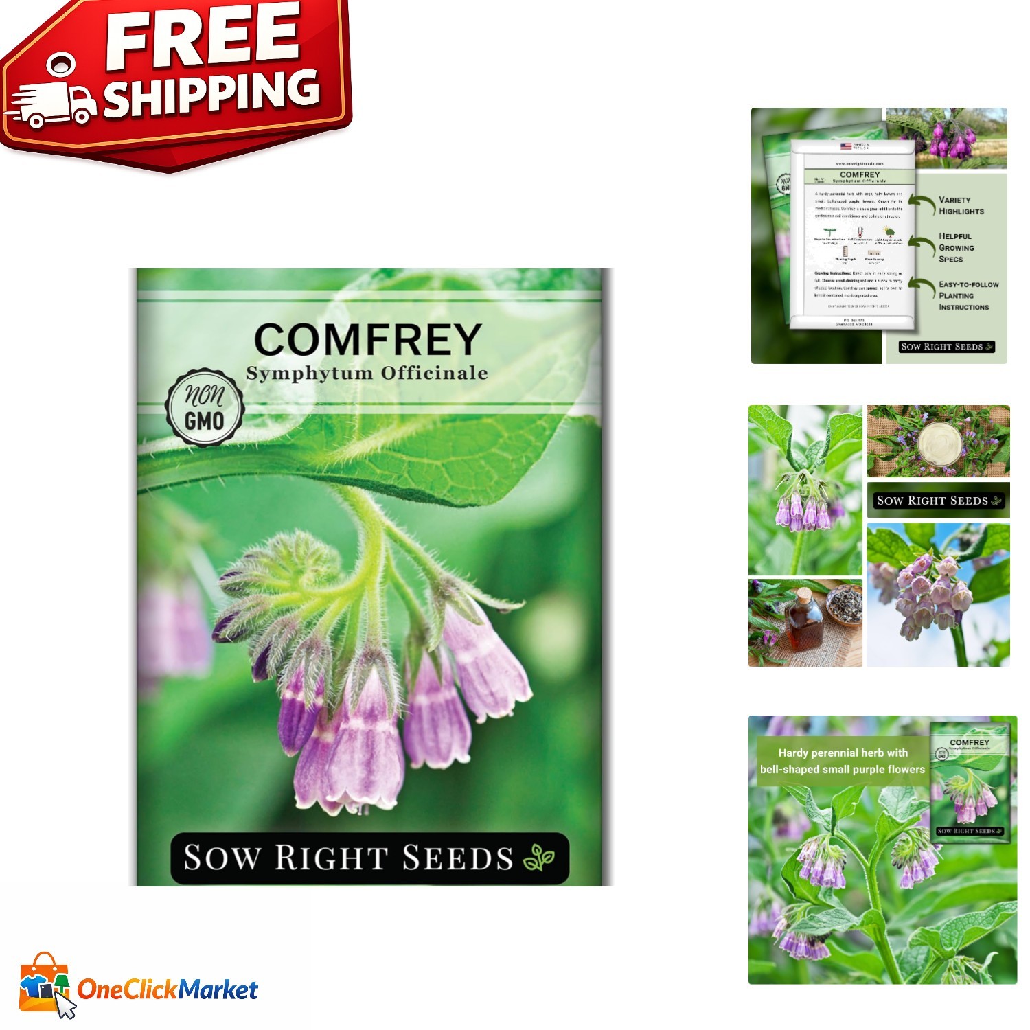 Comfrey Seeds – Vibrant Purple Medicinal Herb for Outdoor & Indoor Gardens