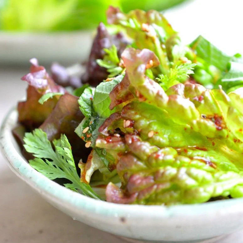 Bronze Mignonette Butterhead Lettuce Seeds | Lactuca Red Buttercrunch Bibb 2024