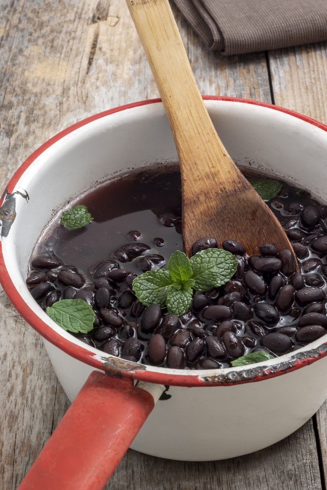 Black Turtle Bean Seeds