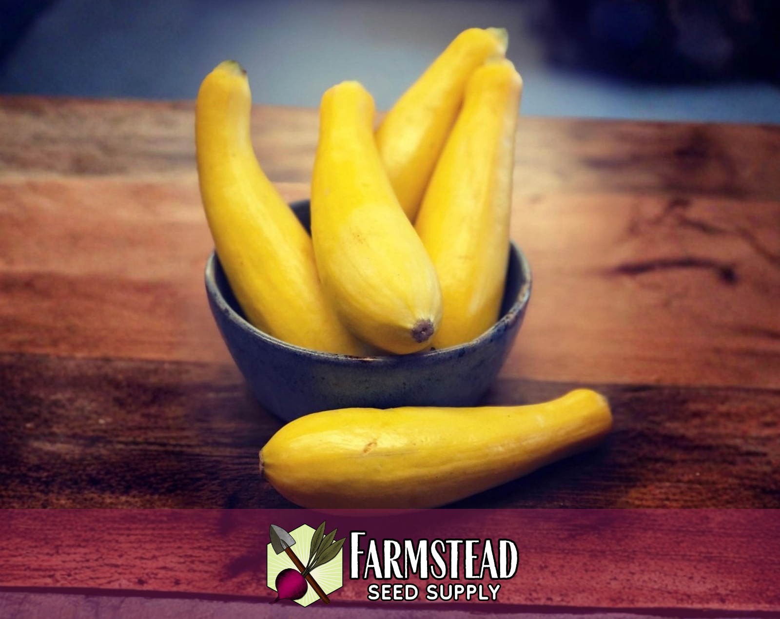 70+ Yellow Summer Squash Seeds [Early Prolific Straightneck] Vegetable Garden