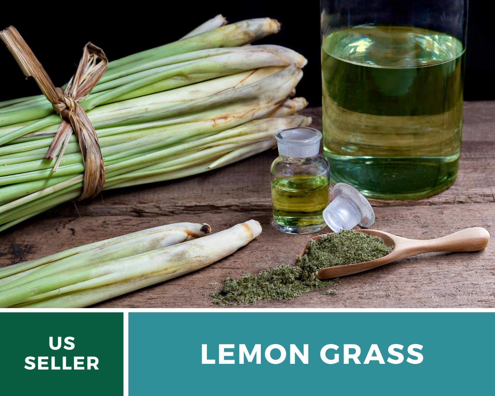Lemon Grass – 100 Seeds – Culinary & Medicinal Herb (Cymbopogon Flexuosus)