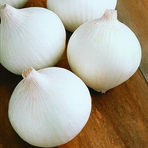White Sweet Spanish Onion Seeds | Heirloom / Non-GMO | Free Shipping | 1068
