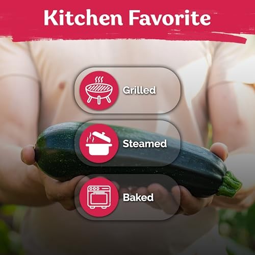 50 Black Beauty Zucchini Seeds for Planting (Cucurbita Zucchini Black Beauty