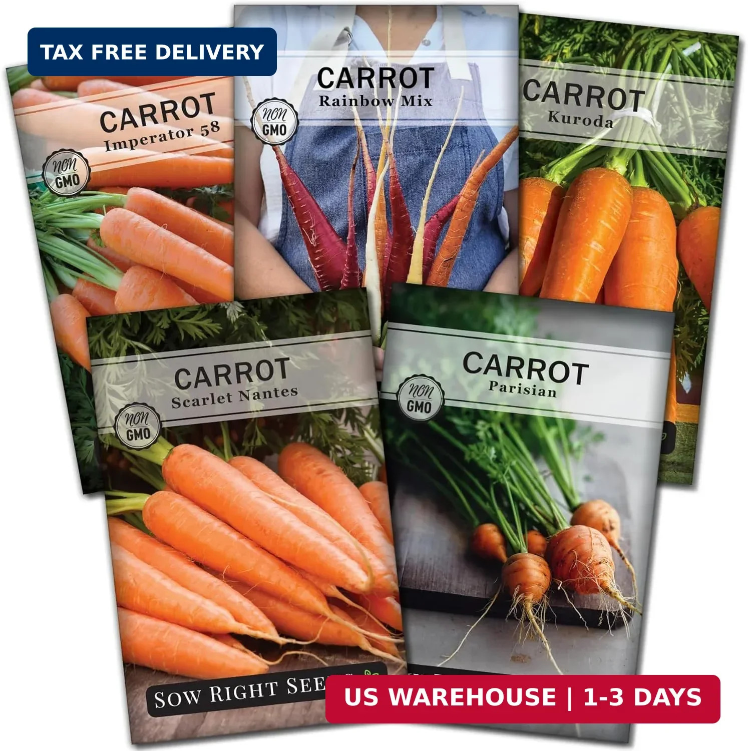Sow Right Seeds – Carrot Seed Collection for Planting – Rainbow, Nantes, Imperat