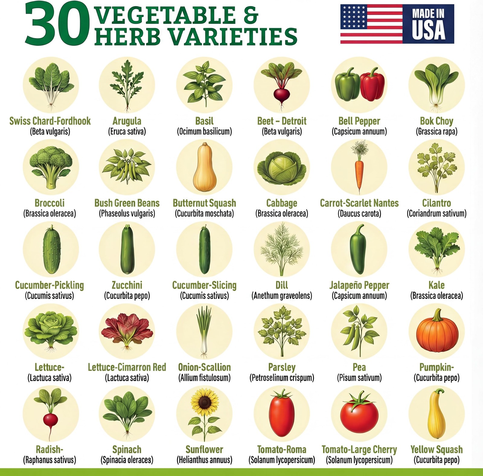 Culinary Vegetable & Herb Seeds Variety Pack 30 Heirloom NonGMO Garden Seeds…