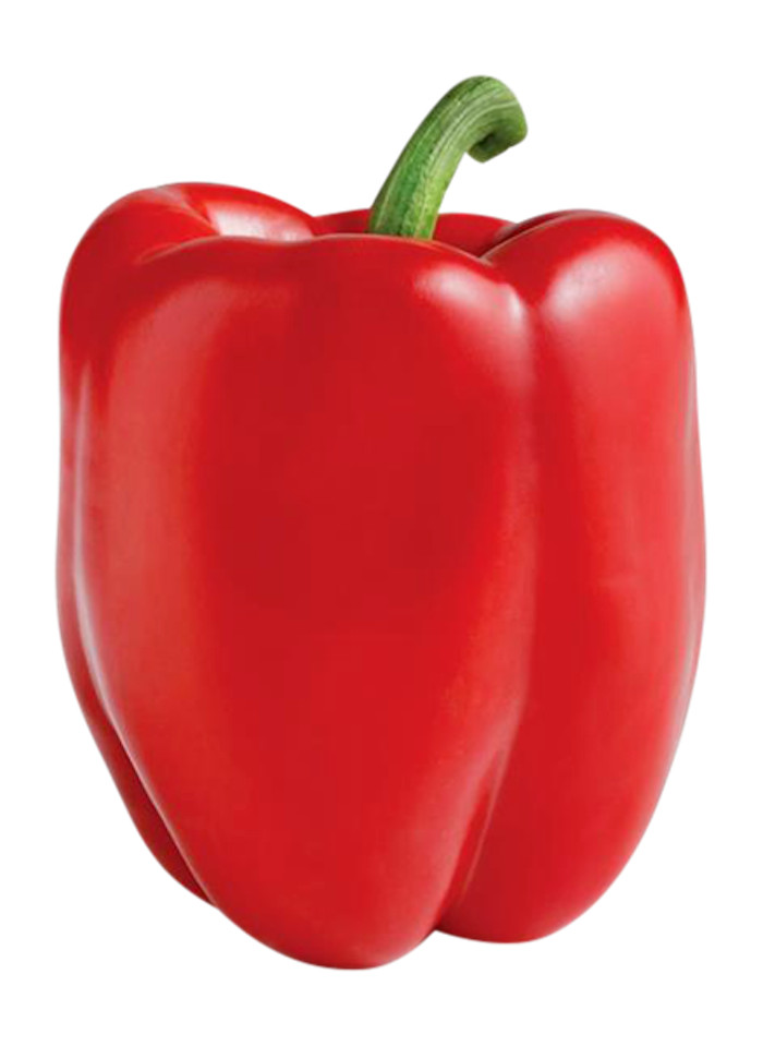 Sunset Aloha Pepper, Big Red, Yellow, Lilac, Orange Bell Pepper Seeds, 2024