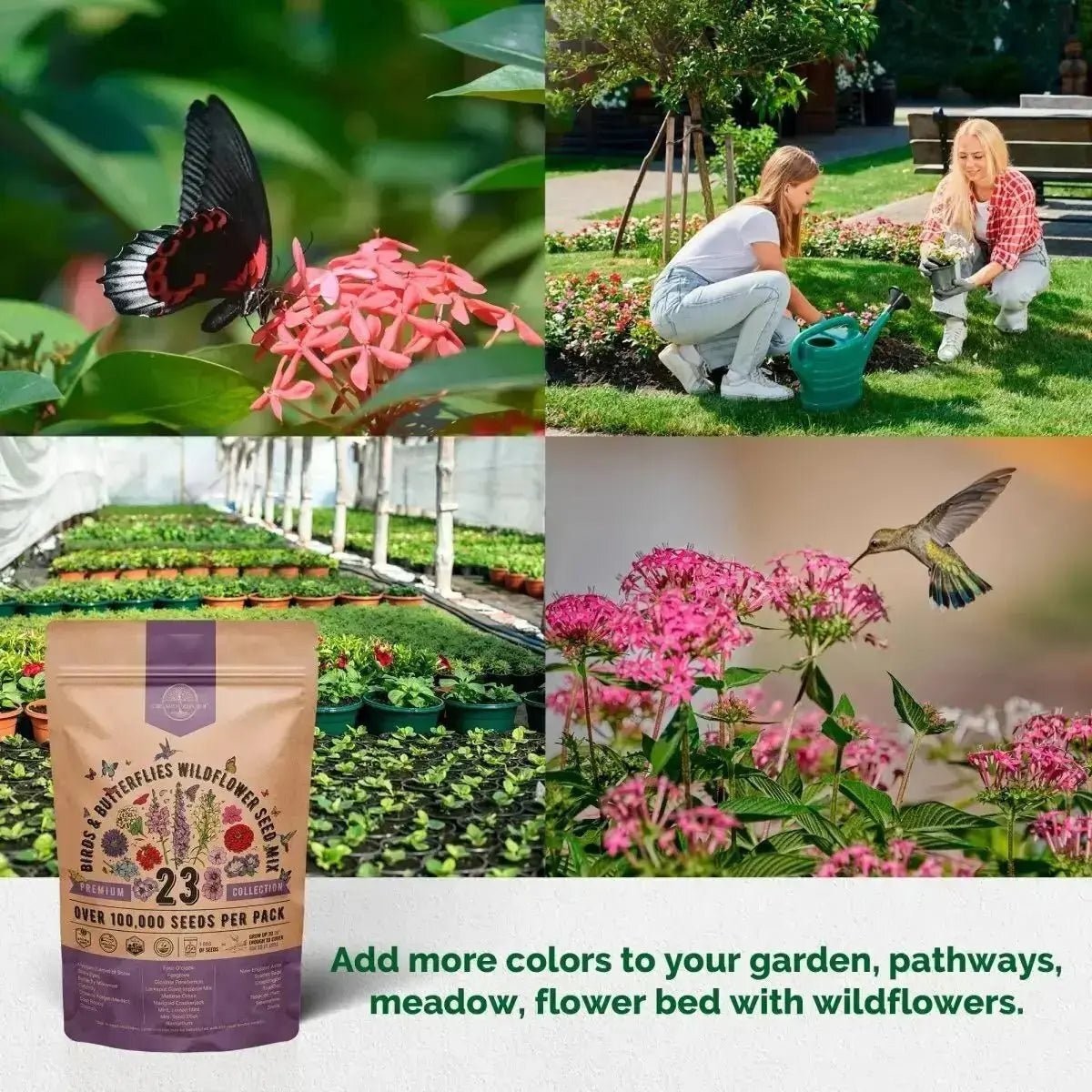 23 Wildflower Seeds Annual & Perennial Mix
