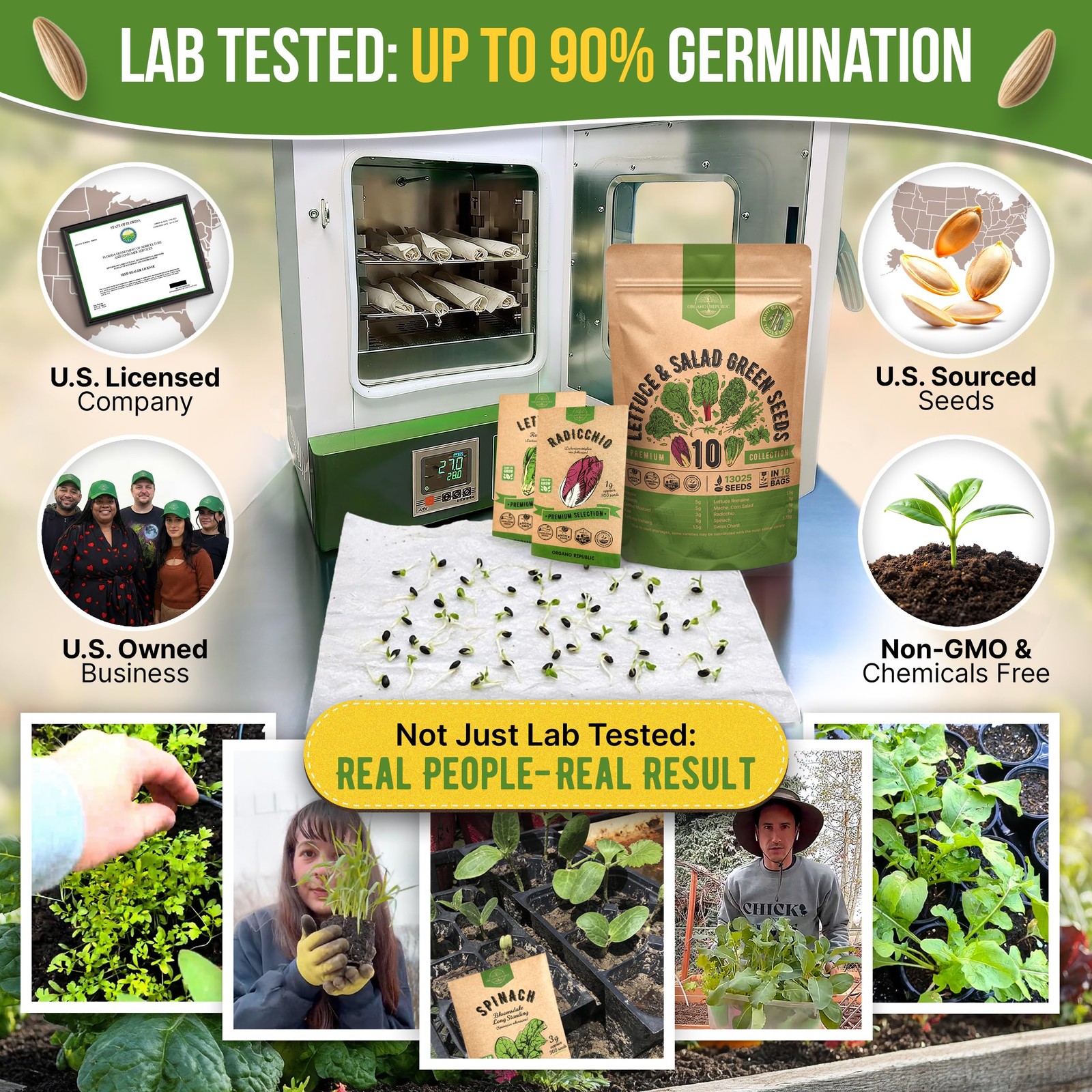 Organo Republic 10 Lettuce & Salad Greens Seeds Variety Pack 13000+ NonGMO He…