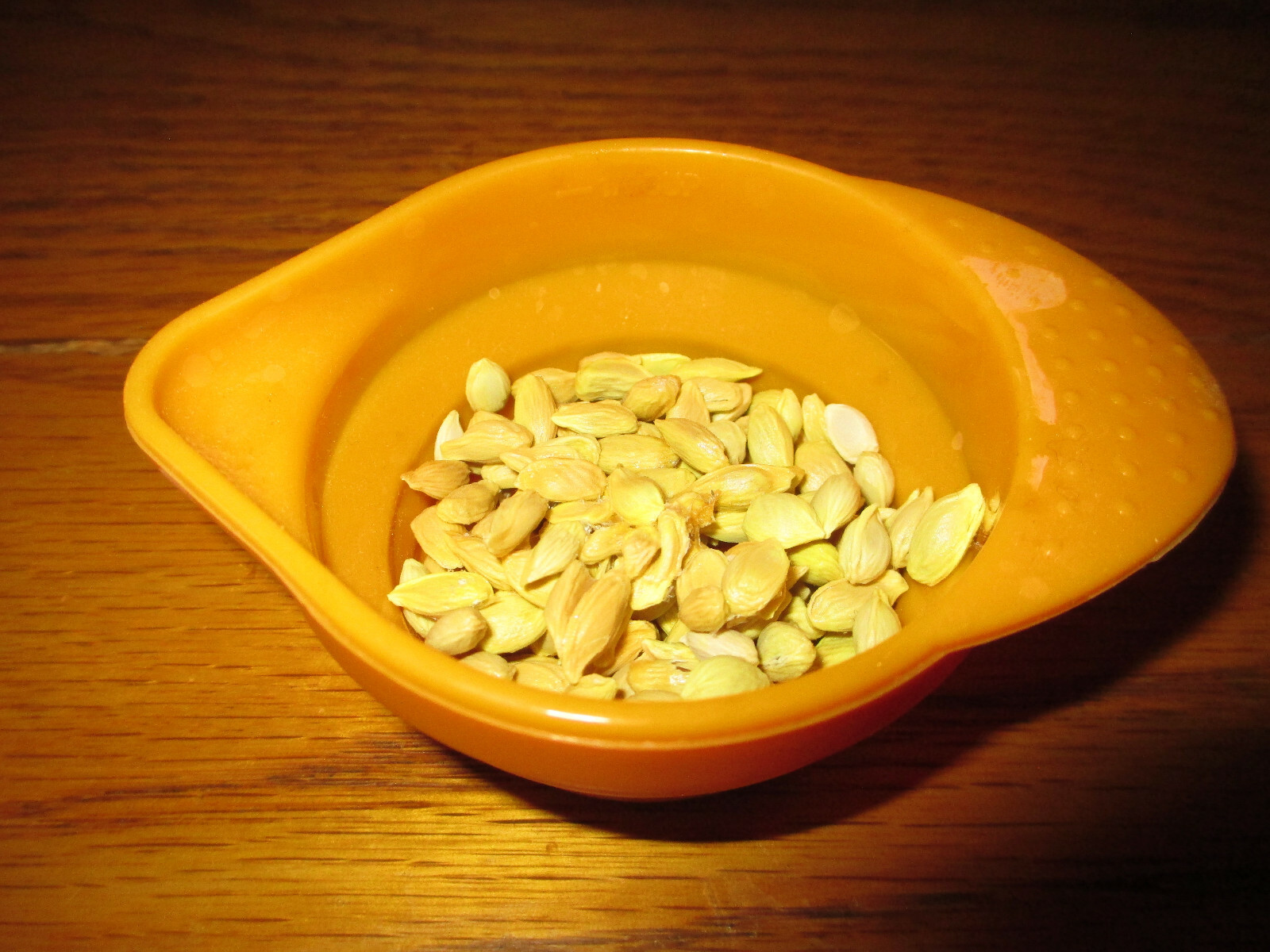 25 Count Organic Non GMO Dwarf Meyer Lemon Sun Dried Seeds LOT California Fresh