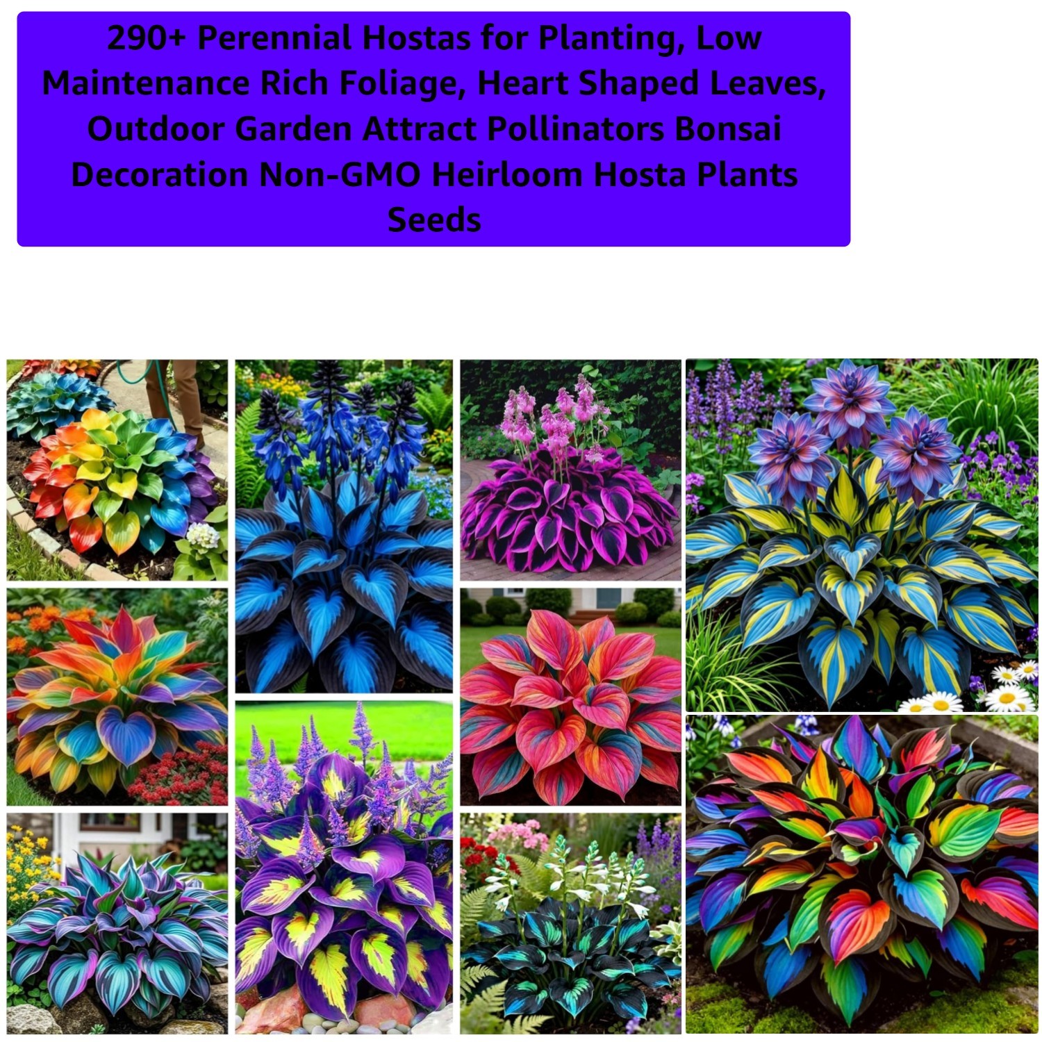 290 Non-GMO Perennial Hostas: Easy-Care Garden Beauties to Attract Hummingbirds