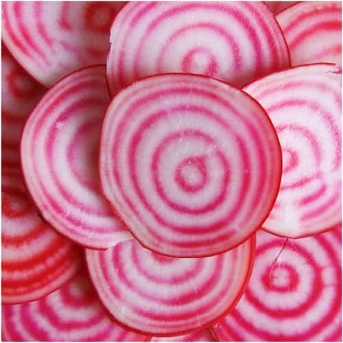 Chioggia Beet Seeds For Planting (Beta vulgaris)