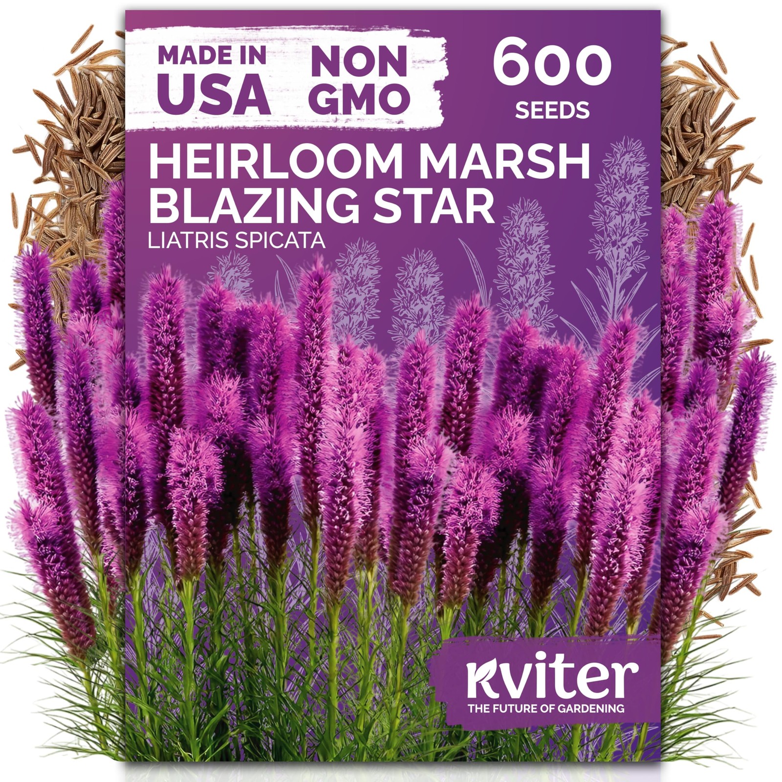 KVITER 600 Marsh Blazing Star Seeds For Planting (Liatris Spicata)