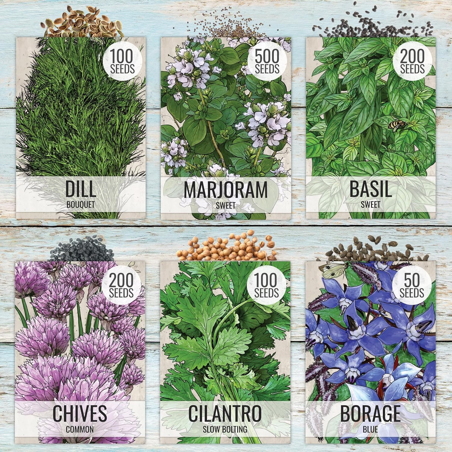 Herb Seeds Variety Pack Culinary Herb Collection (12 Individual Packets for Plan