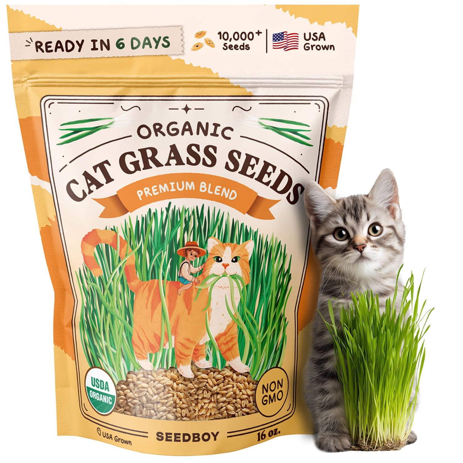 Organic Cat Grass Seeds for Planting, Non-GMO Wheat, Oat, Rye, and Barley Pet…