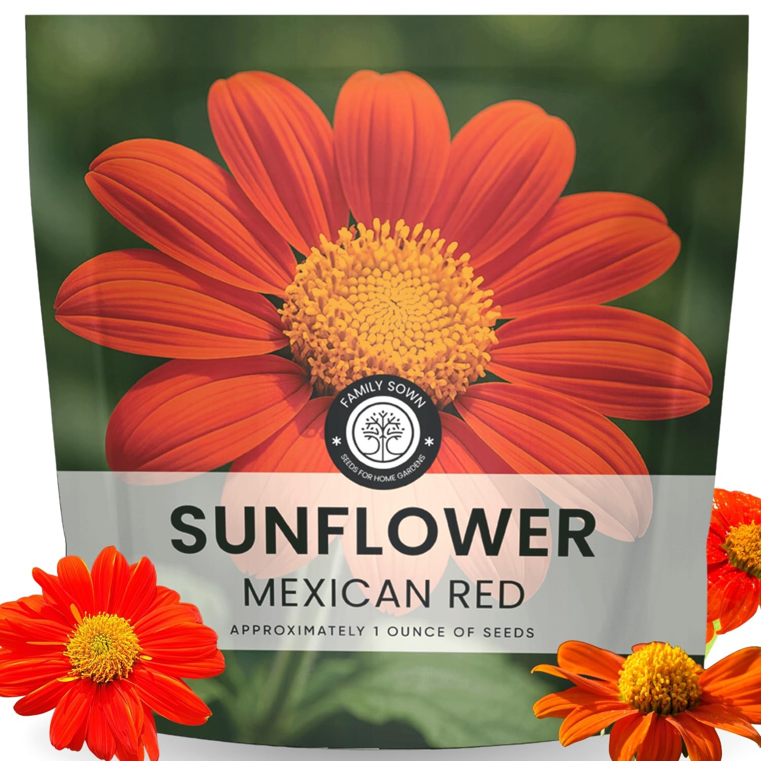 Mexican Sunflower Seeds Red 2000 Planting 1 Ounce 2026 Garden Blooms