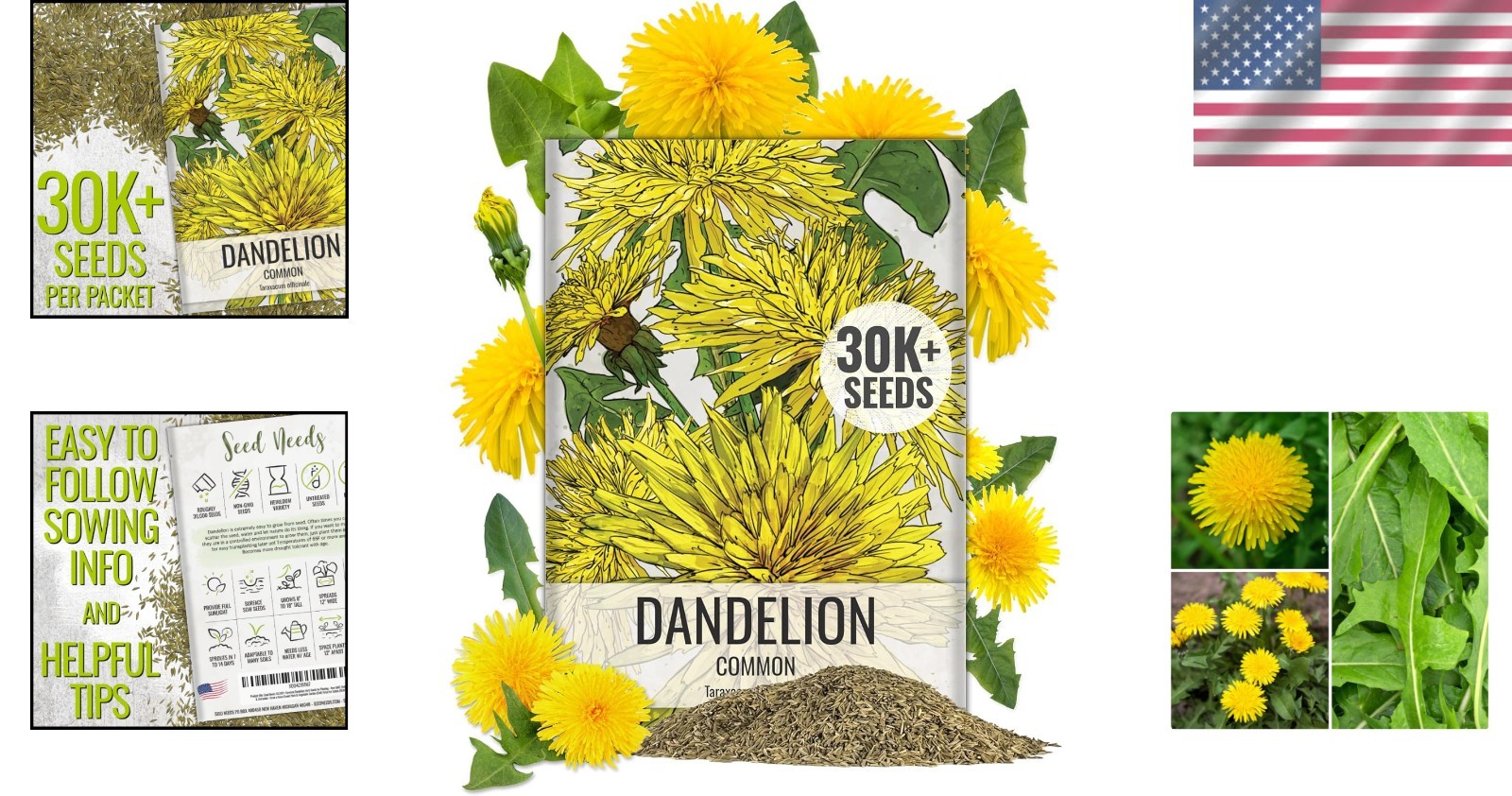 Heirloom Dandelion Seeds for Home Garden – 30,000 Non-GMO Seeds for All Zones