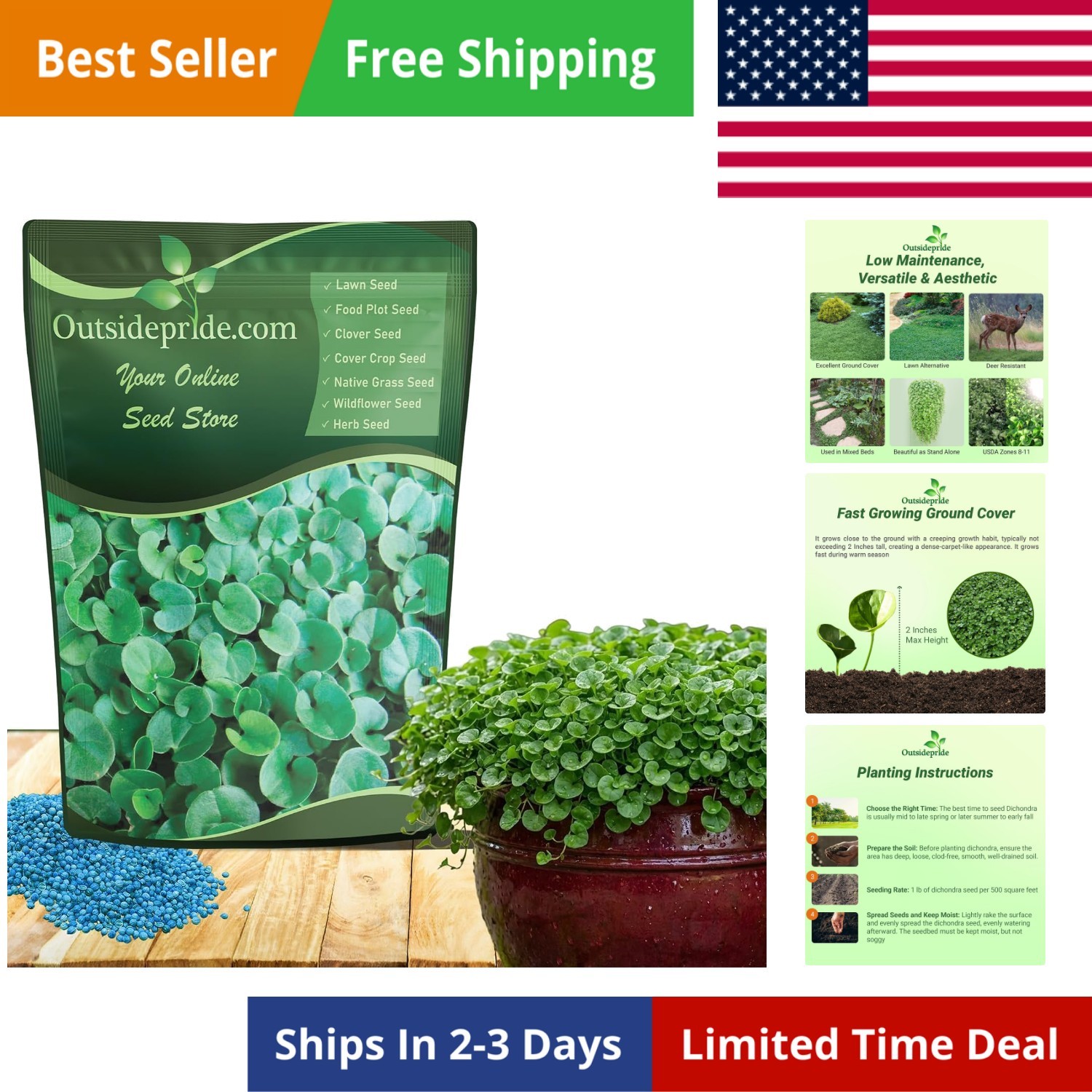 Perennial Dichondra Repens Seeds – 2 lbs Dense Green, Low-Maintenance Ground …